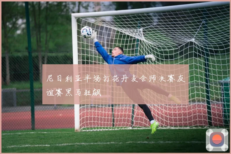 尼日利亚半场打花丹麦会师决赛友谊赛黑马狂飙