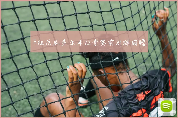 E组厄瓜多尔库拉索赛前进球前瞻