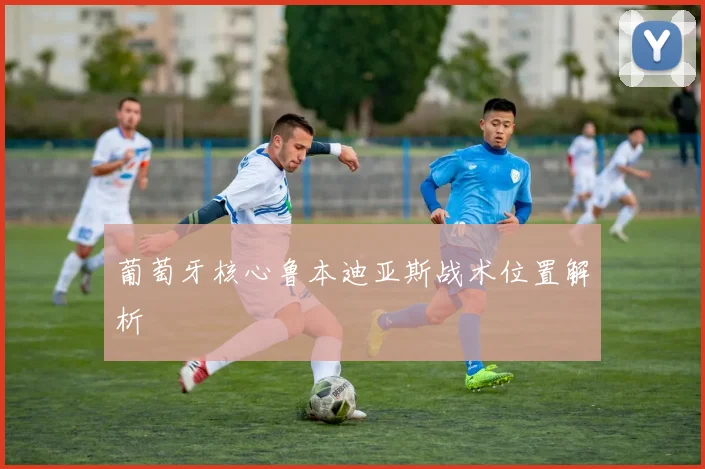 葡萄牙核心鲁本迪亚斯战术位置解析