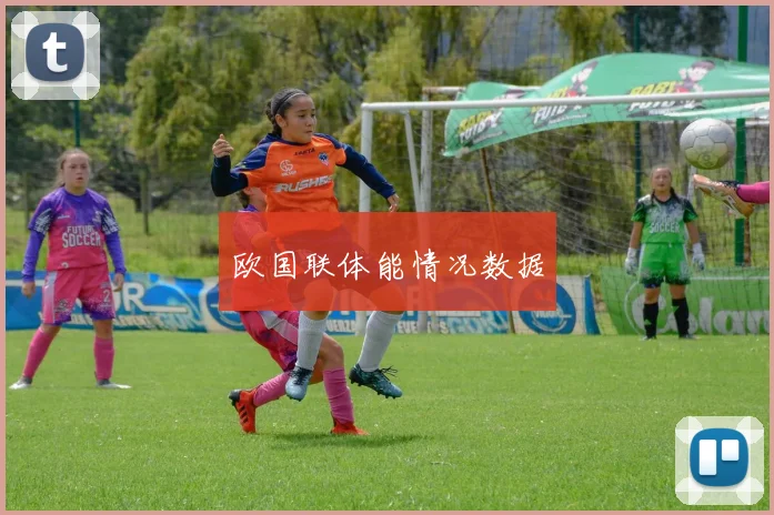 欧国联体能情况数据