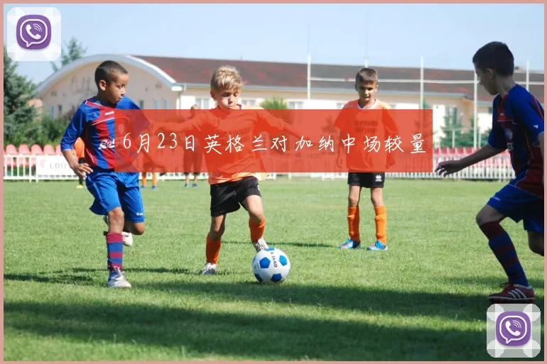 6月23日英格兰对加纳中场较量