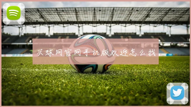 买球网官网手机版欢迎怎么找