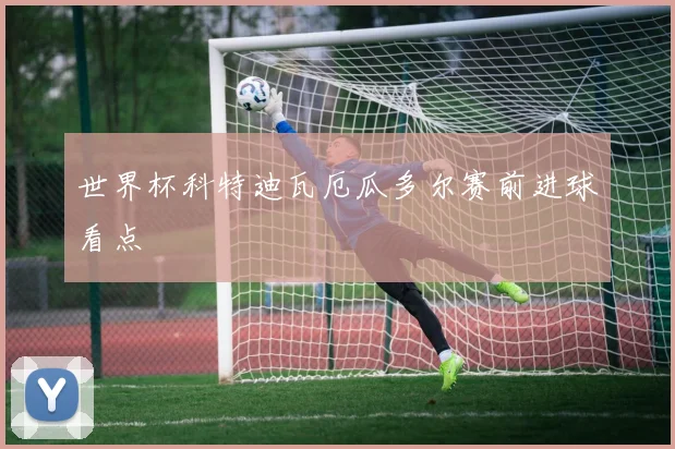 世界杯科特迪瓦厄瓜多尔赛前进球看点