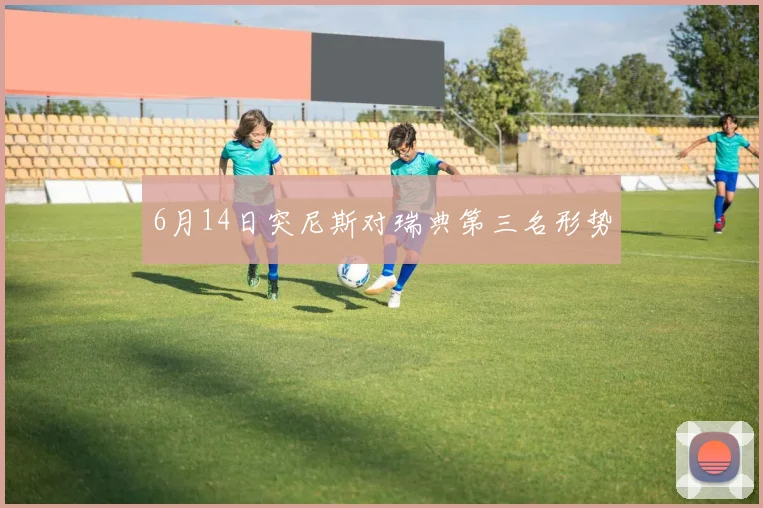 6月14日突尼斯对瑞典第三名形势