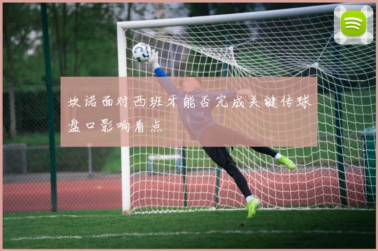坎诺面对西班牙能否完成关键传球盘口影响看点