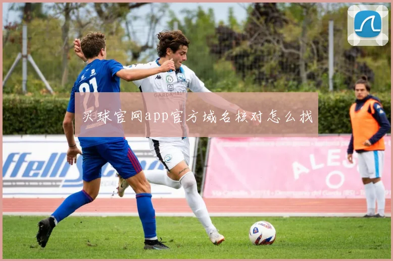 买球官网app官方域名核对怎么找